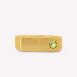 byBiehl® Danmark Guldringe<My Powers ring