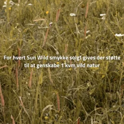 byBiehl® Danmark Charms<Sun Wild Charm