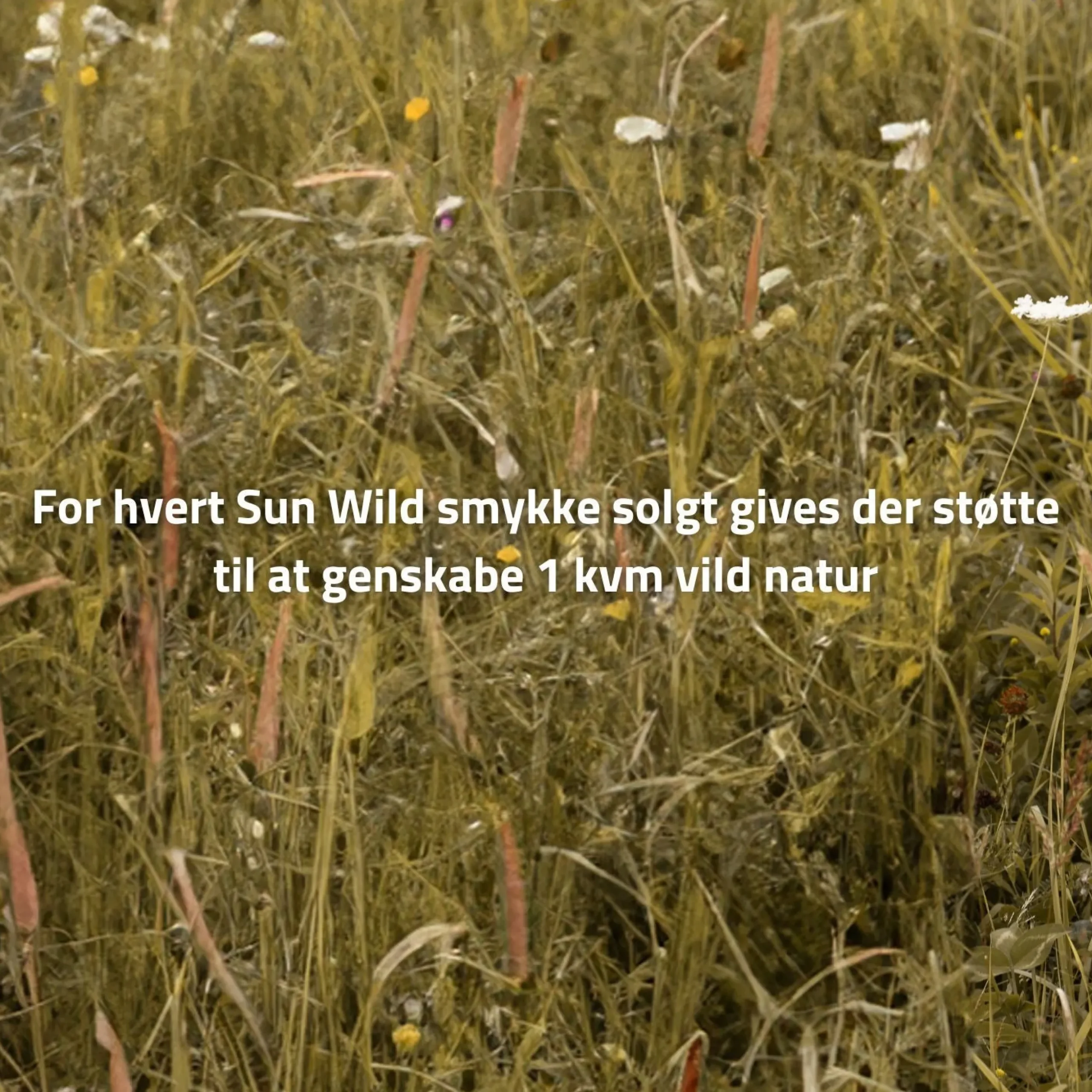 byBiehl® Danmark Charms<Sun Wild Charm